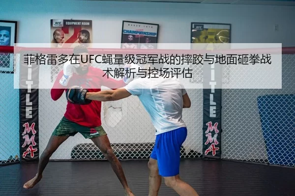 菲格雷多在UFC蝇量级冠军战的摔跤与地面砸拳战术解析与控场评估