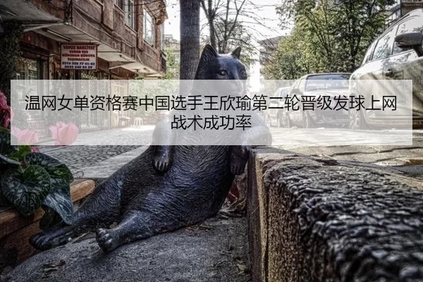温网女单资格赛中国选手王欣瑜第二轮晋级发球上网战术成功率